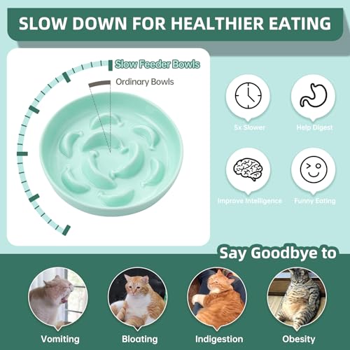2 Pack Ceramic Cat Slow Feeder Bowl Set, 6.3" Wide, Slow Eating 5X - color: Blue and Green