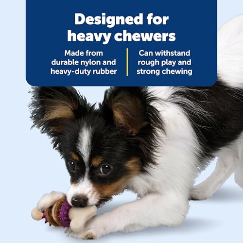 PetSafe Busy Buddy Bristle Bone Dog Treat Holding Chew Toy, Small - size: Small, style: Bristle Bone