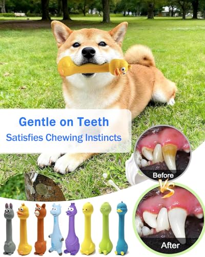 SCHITEC Squeaky Dog Toys, [2 Pack] Squawking Latex Toy with Interactive Squeaker, Squeak Rubber Duck Chicken for Medium Small Dogs - style: Chick & Fox