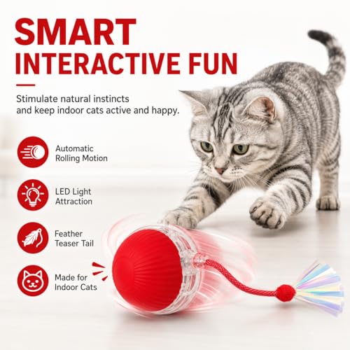 Interactive Cat Toy Ball with LED Lights, USB-C Rechargeable Automatic Cat Toy with Feather Tail, Smart Exercise Toy for Indoor Cats & Kittens, Upgraded Version - color: Red ball