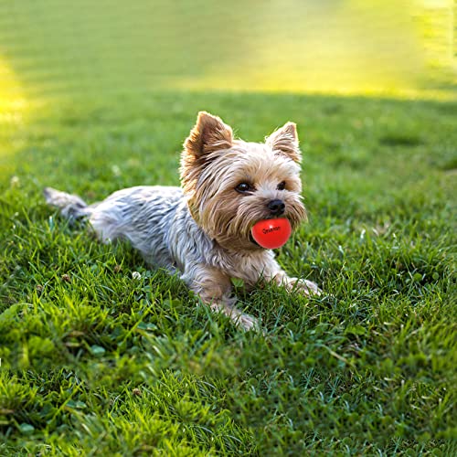 Dog Balls Indestructible,Solid Rubber Bouncy for Dogs Aggressive Chewers Small Breed,Non-Toxic&Floating&High Elasticity,Durable Fetch Ball Small to Chew,Play and Training - color: Red, size: 2 In(5cm)
