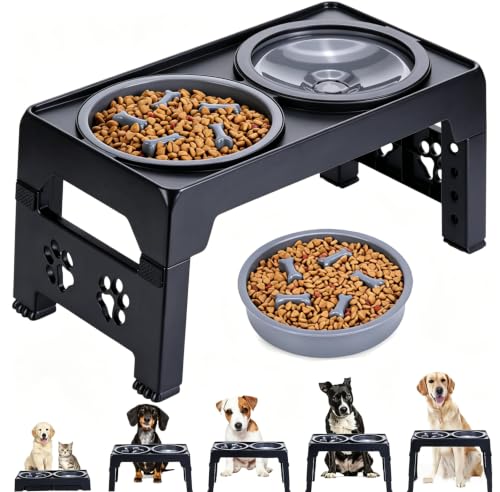 LALOBLUE Collapsible Dog Bowls Raised Elevated Adjust Stand