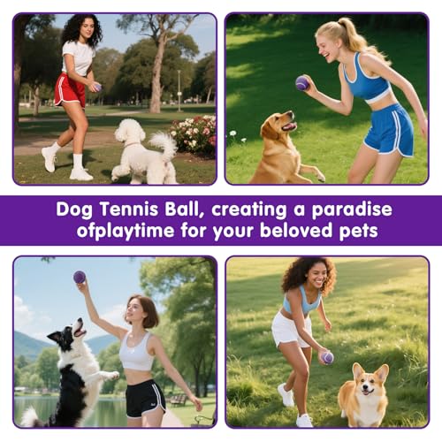 PHOEPET 6-Pack Tennis Balls for Beginner Training Practice- Bulk Dog Balls - color: Purple-6 Pack, size: Medium 2.5"- 6 Pack