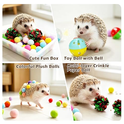 Hedgehog Dig Box Tray with Colorful Ball Bell Toy, Enrichment Accessories