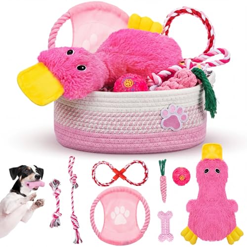 Zopeal Dog Toy Gift Basket Set for Puppy Birthday, Pink - color: Pink