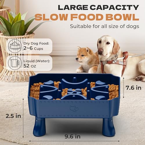 UPSKY Slow Feeder Dog Bowl with Raised Design for Healthy Eating Blue