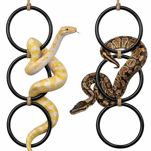2PCS Snake Climbing Rings for Ball Python - Enrichment Toys for Corn Snake