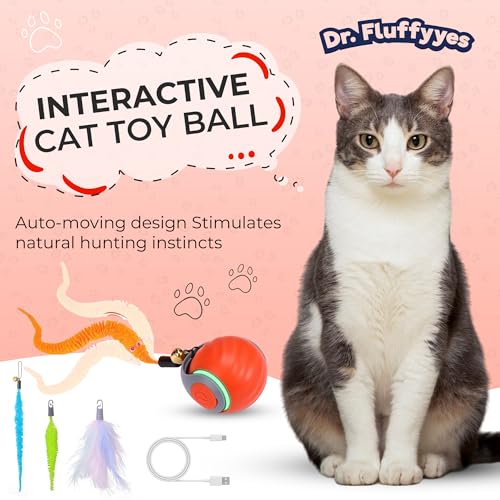 Interactive Cat Toy Ball - Motion-Activated, USB Rechargeable Cat Toys for Indoor Cats with Anti-Scratch Cover & 2 Changeable Tails - Enrichment Toy for Active Cats & Kittens - color: 01 Orange