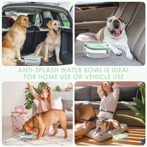 AONKEY 3L No Spill Dog Water Bowl with Slow Drinking Disk(Sprout Green) - color: Sprout Green