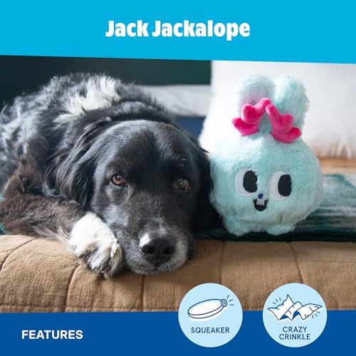 BarkBox Jack Jackalope Dog Toy - Toy for Large Dogs - color: Jack Jackalope, size: Large