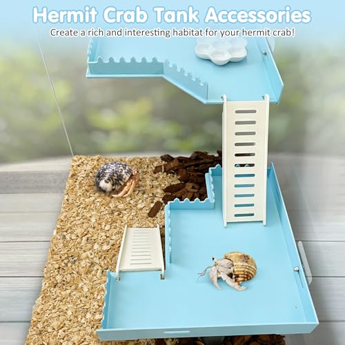 Hermit Crab Climbing Platform Habitat Tank Accessories - color: Blue