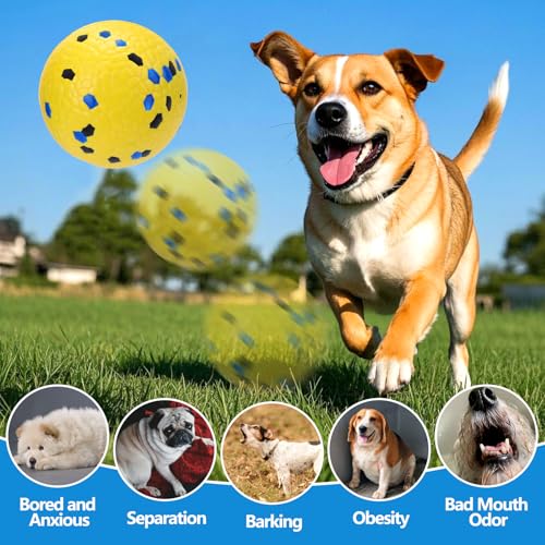 Mity rain 4PCS Floating Dog Toys –E-TPU Water Pool Fetching Toy