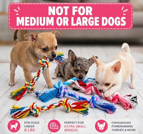 Mini Chew Rope Pack for Small Dogs – 4 Pack Puppy Rope Toys for Chihuahua, Pomeranian & Small Breeds – Tiny Paws Teething & Dental Chew Toys (Pink) - color: Pink