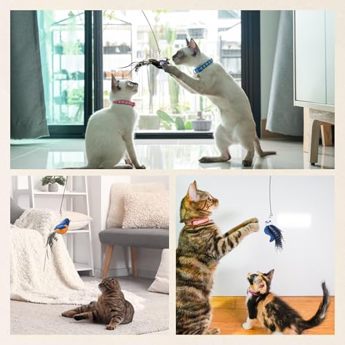 Chirping Bird Replacement Heads for Cat Toys - Set of 3 - Realistic Calling Bird Sounds, Vibrant Feather Designs, Easy Clip-On for Endless Fun - style: Chirping Bird Cat Toy Refill, 3 Pack