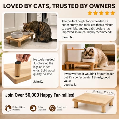 Elevated Cat Food Stand for Automatic Feeder, 2.4" Raised Cat Bowl Stand