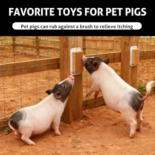 Toys for Pigs, 3-Pack Pet Enrichment Scratching Brushes for Outdoor