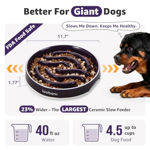 LOOBANI 4.5 Cups Ceramic Slow Feeder Dog Bowls Giant Dogs with Grip Handles - size: XL (4.5 cups)