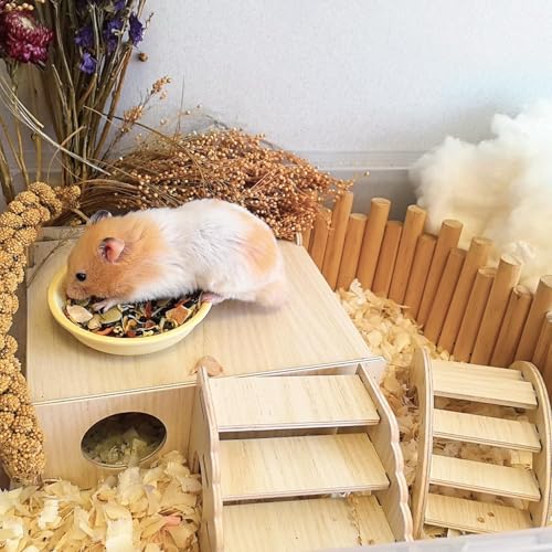 Multi-Chamber Wooden Hamster Hideout & Tunnel with Secret Peep Shed - color: 4-Chamber Hamster Maze