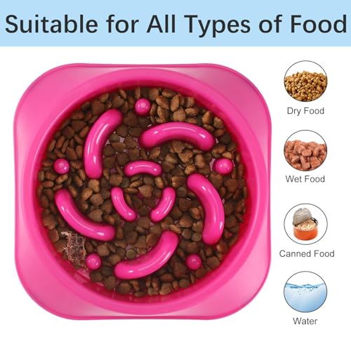 MateeyLife 2-Pack Slow Feeder Dog Bowls, 2 Cups, Dog Puzzle Feeder Bowl - color: C-Purple&DarkBlue, size: Medium