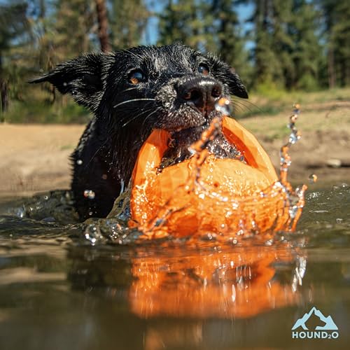 Playology Hound2O Squeaky Tug Ball - Floating Outdoor Dog Toy - Orange - color: Orange