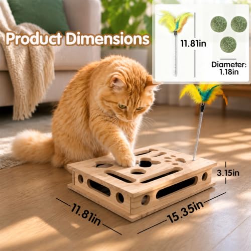 Cat Scratch Puzzle Enrichment Box