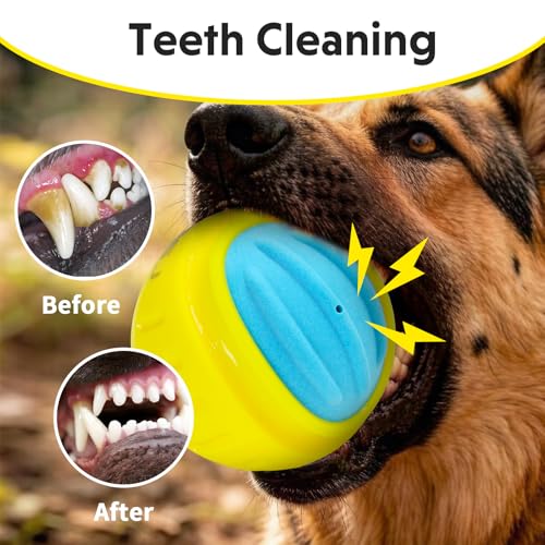 Dog Toy Ball, Indestructible Squeaky Ball for Aggressive Chewers, 3" TPR Rubber Clean Teeth, Relieve Anxiety & Boredom, Interactive Fetch Toy for Medium Large Dogs, Pools &Outdoor Play (Yellow)