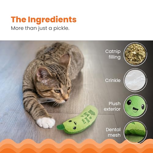 Catstages Crunchy Pickle Kicker Chew Cat Toy, Catnip & Dental Mesh, 6.5" - color: Crunchy Pickle Kicker