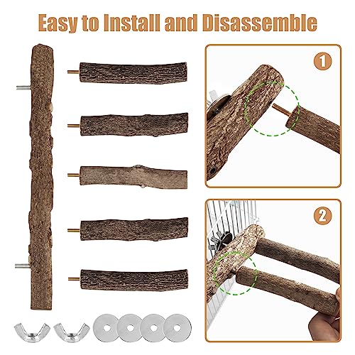 Parrot Wood Stand, Parrots Perch for Cage, Natural Bird Ladder
