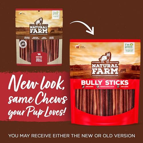 Natural Farm Odor-Free Select Bully Sticks, (12-Inch, 1-Pound), Hand Selected for Consistent Thickness, 100% Beef Pizzle Dog Chews, Fully Digestible, High Protein, Best Dental Treats - size: 12" Select - 1 Pound