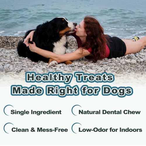 VITADAY Fish Skin Dog Treats, Single-Ingredient, Ring (L), 3 oz - size: 3 Ounce (Pack of 1)