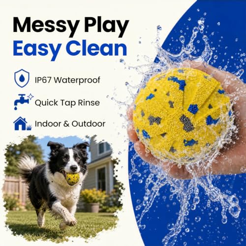 Dog Ball