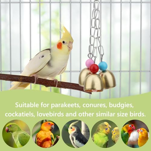 Hypeety Bird Bell Toy with Sweet Sound Cage Hanging Swing Bell for Parakeet - color: Bell Toy-3 bells (B)