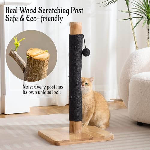 29" Tall Solid Wood Cat Scratching Post for Indoor Cats, Extra Stable Heavy Base, Natural Sisal Scratcher with Hanging Ball, Furniture Protector for Kittens & Adult Cats, Beige - color: Black