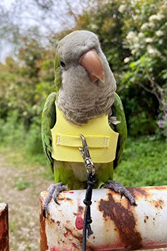 Bird Flight Harness Vest, Parrot Suit with Leash for Parakeets Cockatiels Conures Budgies, Flying Clothes Rope and Handle Outdoor Activities Training, Anti Bite (S, Yellow) - color: Yellow, size: S