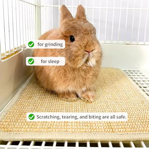 2PCS Rabbit Scratch Mat, Natural Bunny Pad Claws and Teeth Care, 16x12 - size: 16"x12"