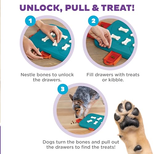 Outward Hound Nina Ottosson Dog Casino Dog Toy Treat Puzzle, 14" - color: Dog Casino (Blue, Orange), size: 1 Count (Pack of 1)
