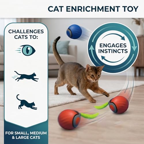 Teazys Cat Toy Turbo Tail 3.0,Interactive Cat Toy Ball, Automatic Cat Toy with Tail, Electric Rolling Ball on Carpet, Cat Enrichment Toys for Small/Medium/Large Cats to Keep Them Busy (Blue) - color: Blue