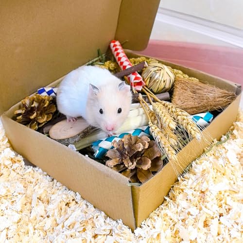 Hamster Toys Box for Chewing&Teeth Grinding Natural Hamster Treats for Chinchilla Rat Hamster Bunny and Other Small Pets (Small) (Pack of 2) - size: Small (Pack of 2)