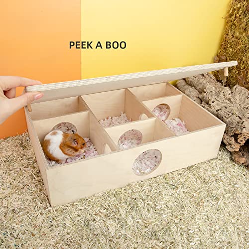Niteangel Multi-Chamber Hamster House Maze: 2 Entrance 6 Rooms Maze Habitat - size: 6-Room Large