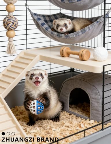 ZHUANGZI 10-Pack Ferret Toy Bells Balls, Non-Toxic Plastic - size: 1.5'' - 2.8''