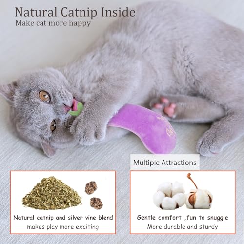 ETEKYER Catnip Cat Toys for Indoor Cats, Vegetable Shape 5 Pack - style: Catnip toys 5 Pack