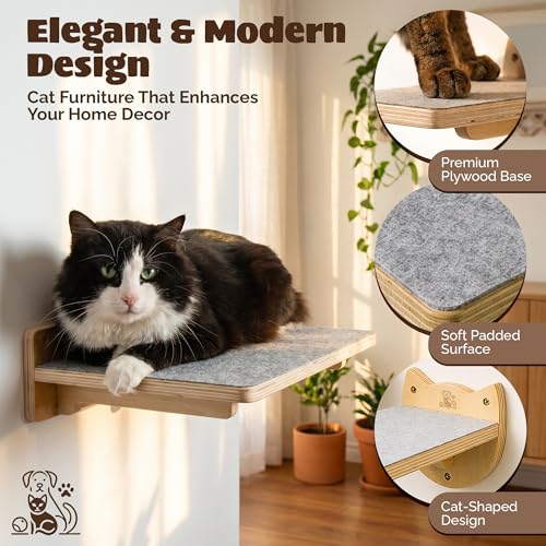 Snuggle & Play Cat Wall Shelves & Climbing System – Modern Furniture Set with 3 Steps & Perch for Indoor Cats, Includes Wand Toy
