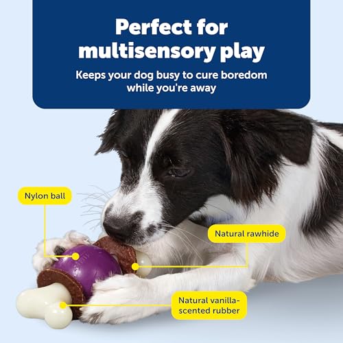 PetSafe Busy Buddy Bouncy Bone Treat Holding Dog Chew Toy, Medium - size: Medium, style: Bouncy Bone