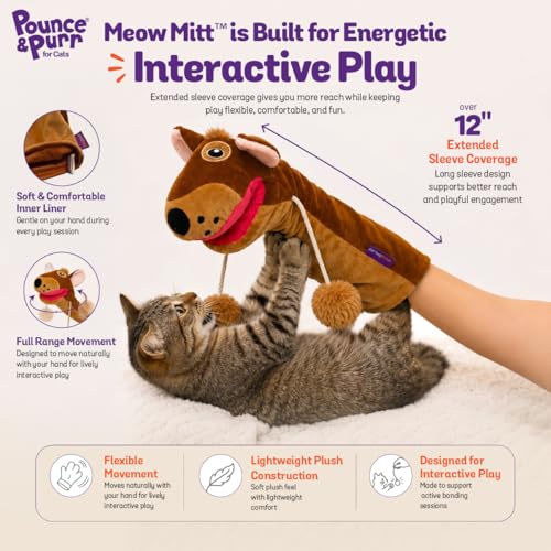 Meow Mitt Wearable Cat Wrestling Glove Puppet - Squirrel - color: Squirrel