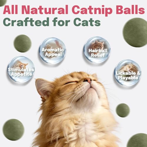 Catnip Balls 6 Pack with Natural Silvervine & Gall Fruit