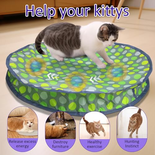 Giociv Interactive Cat Toys Ball Fast Rolling in Pouch, Motion Activate Chirping Cat Toy Hide and Seek Mouse Catching Game (Green Polka dot) - color: Green polka dot