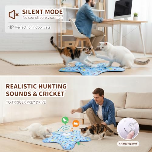 Interactive Touch Activated Hide and Seek Cat Toys for Indoor Cats, White - color: White