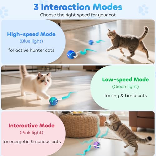 Interactive Cat Toy Ball for Indoor Cats with 3-Mode Touch Activated