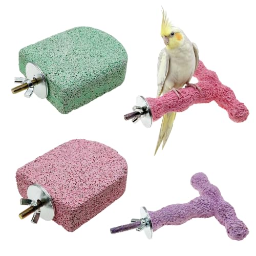 4 PC Bird Perch Stand Pet Teeth Grinding Stone for Small Birds - color: Cyan-Purple-Pink, size: Small