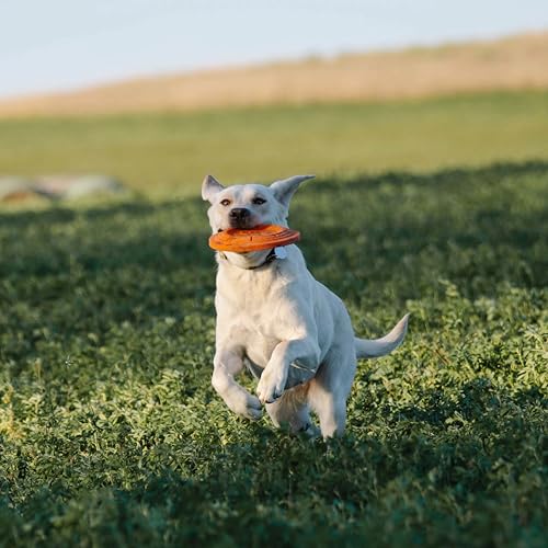 Browning Clay Pigeon Flying Disc Orange - color: Clay Pigeon (Orange)